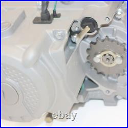 ZS190 190CC 5 Gears 4 Valve Electric Kick Start Manual Engine Motor PIT PRO D
